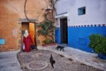 Rabat streetlife and cats