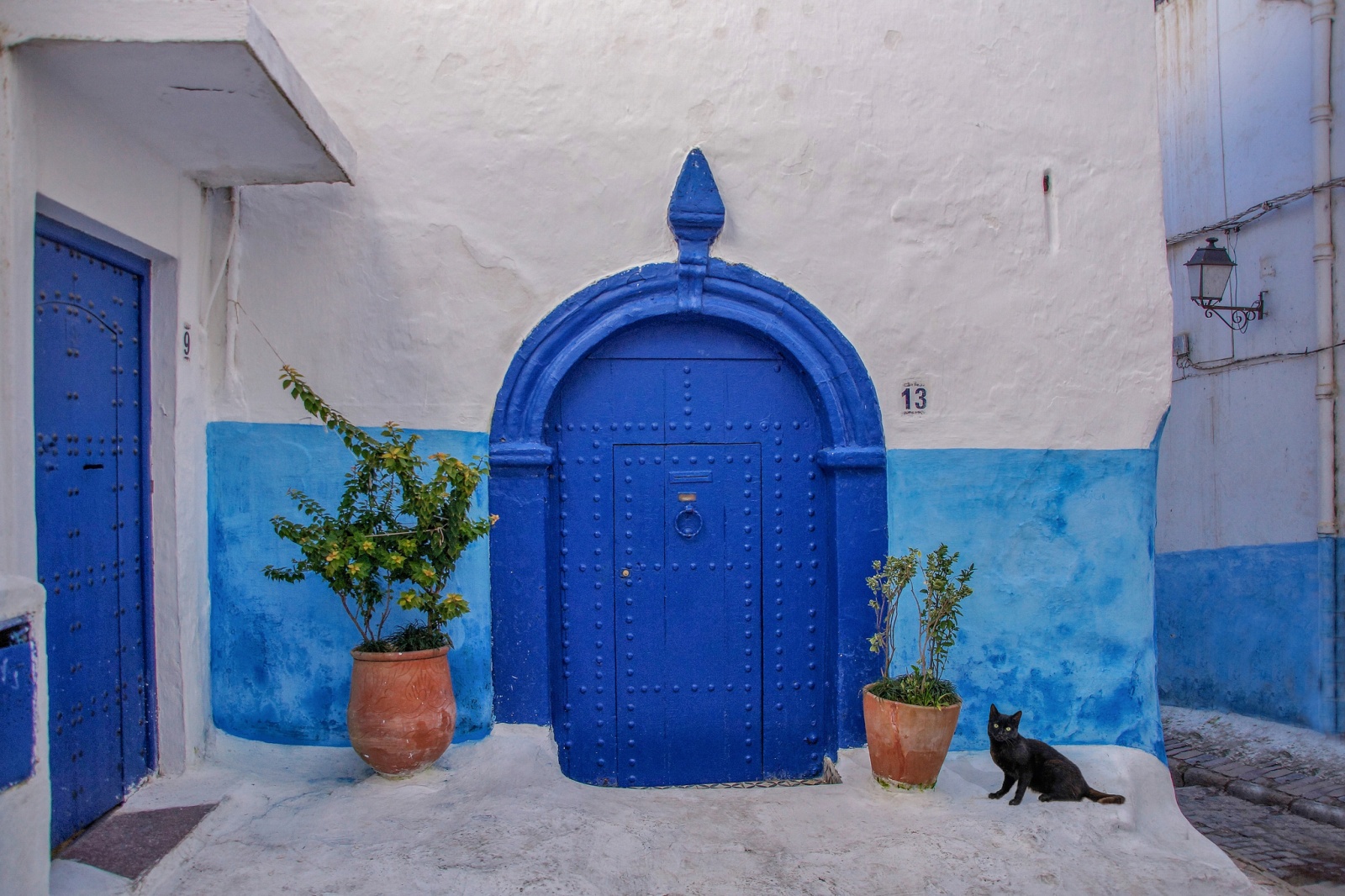 13 Black Cat streetlife in Rabat Morocco