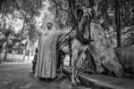 The horse and the coachman. Cairo, Egypt.