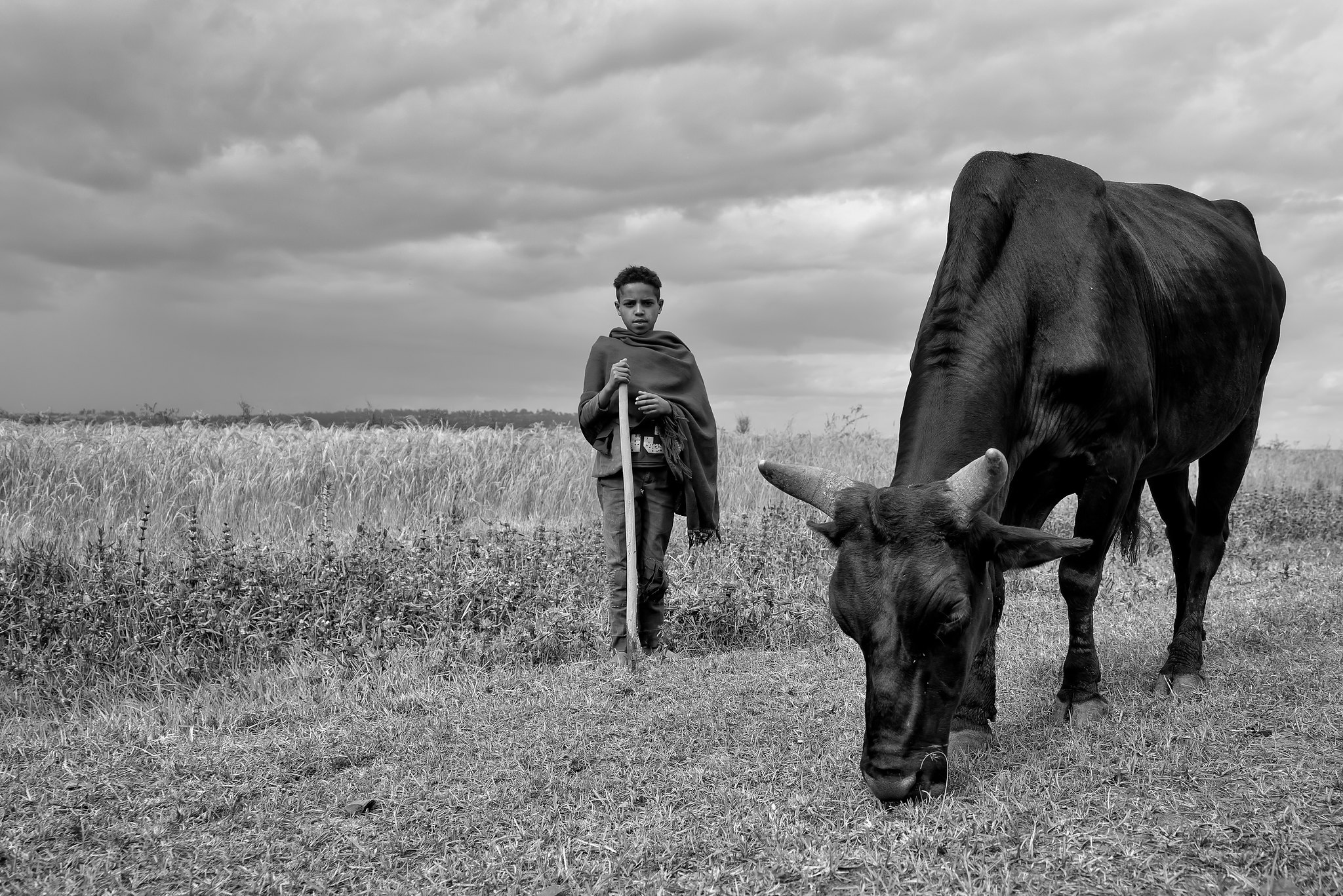 Little Sudanese Herdsman