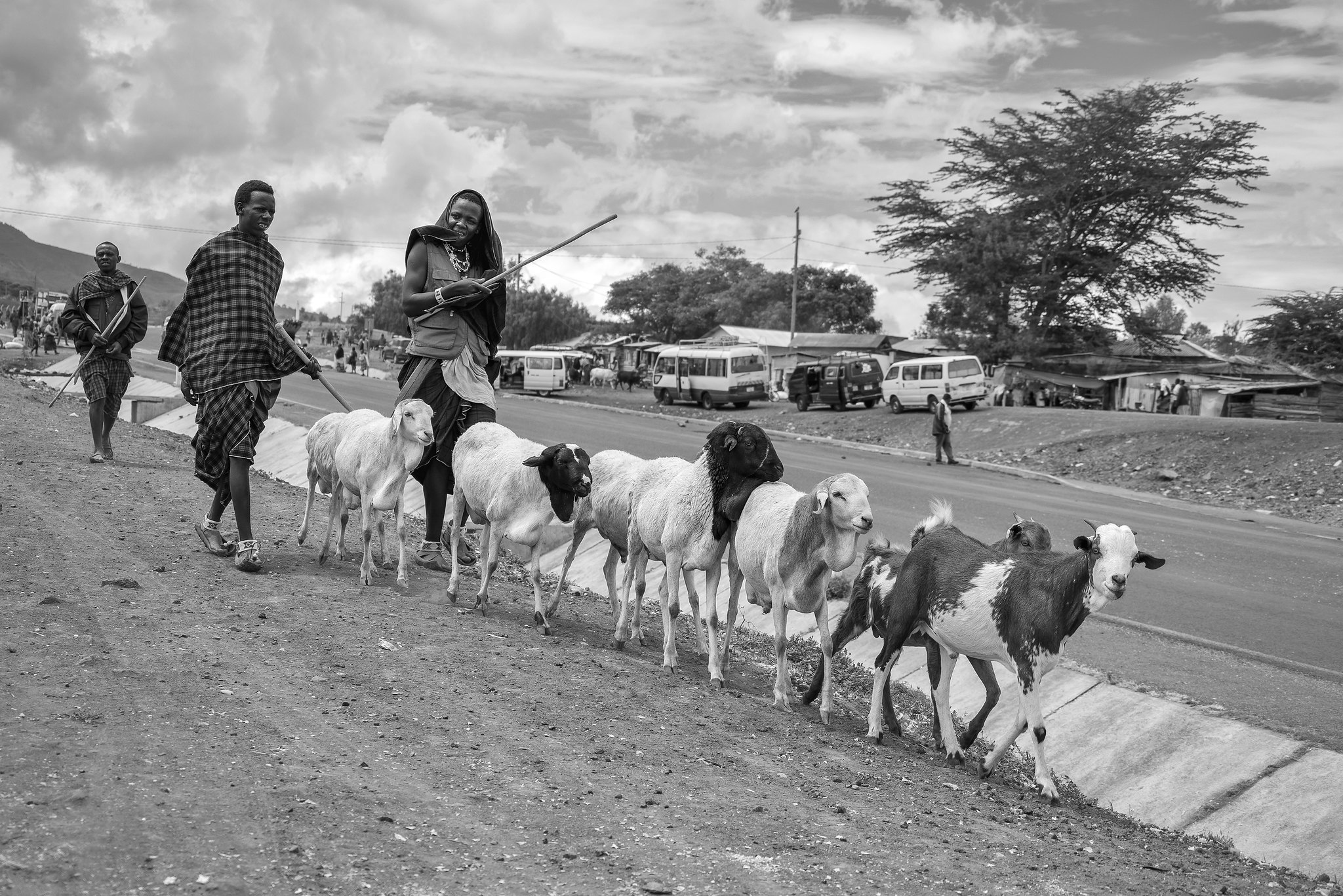 Maasai Herdsmen