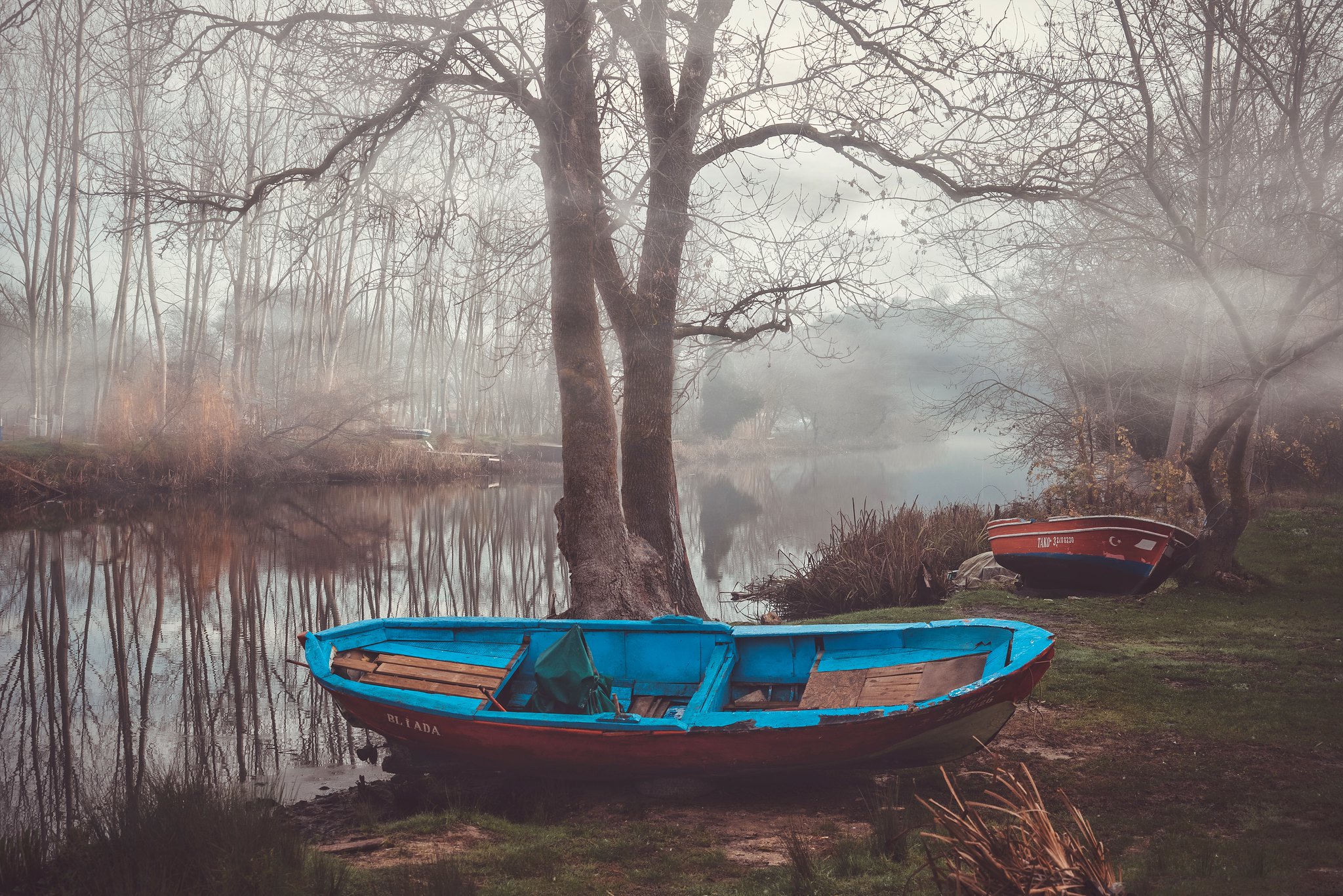 Misty River View