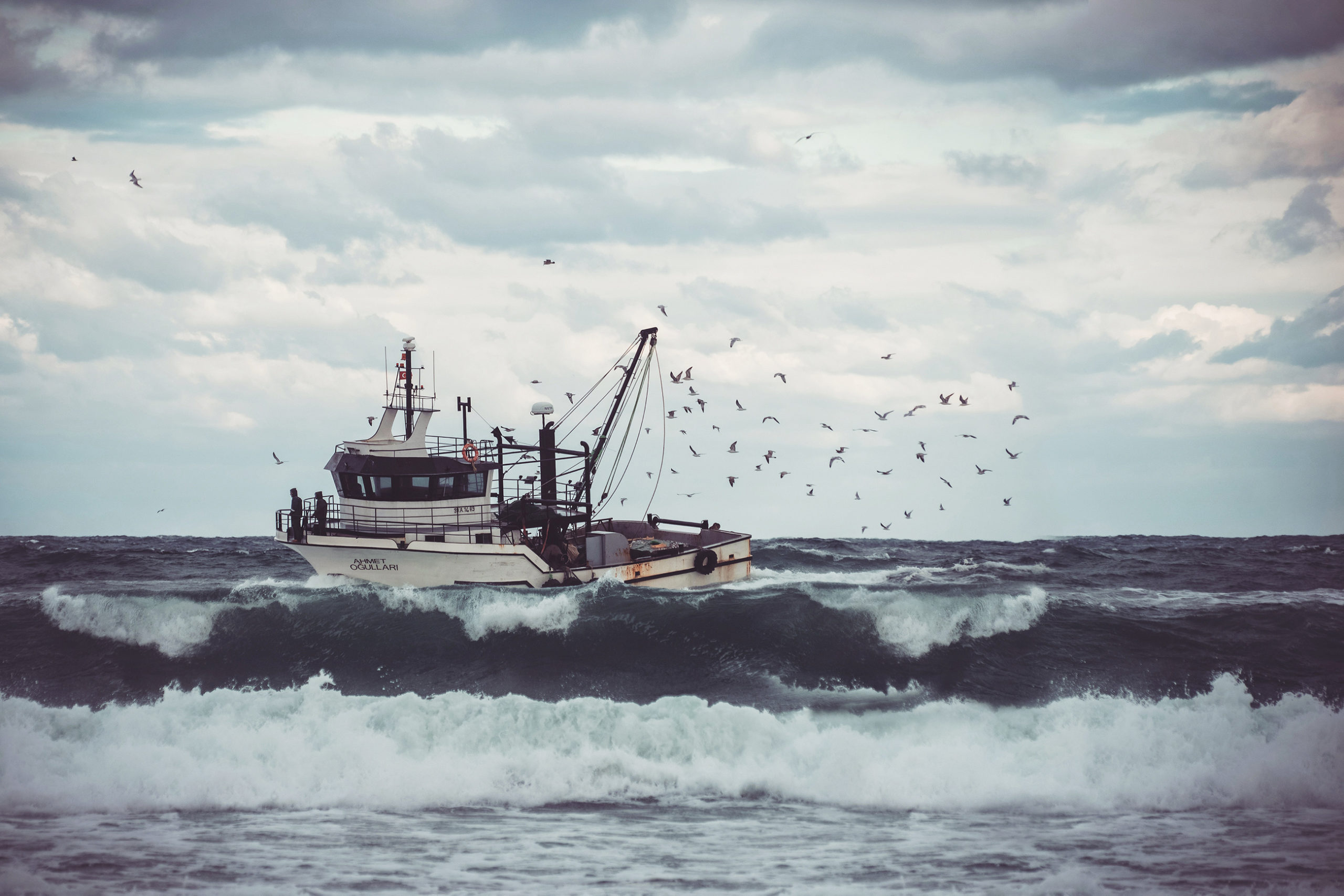 Black Sea Fishermen