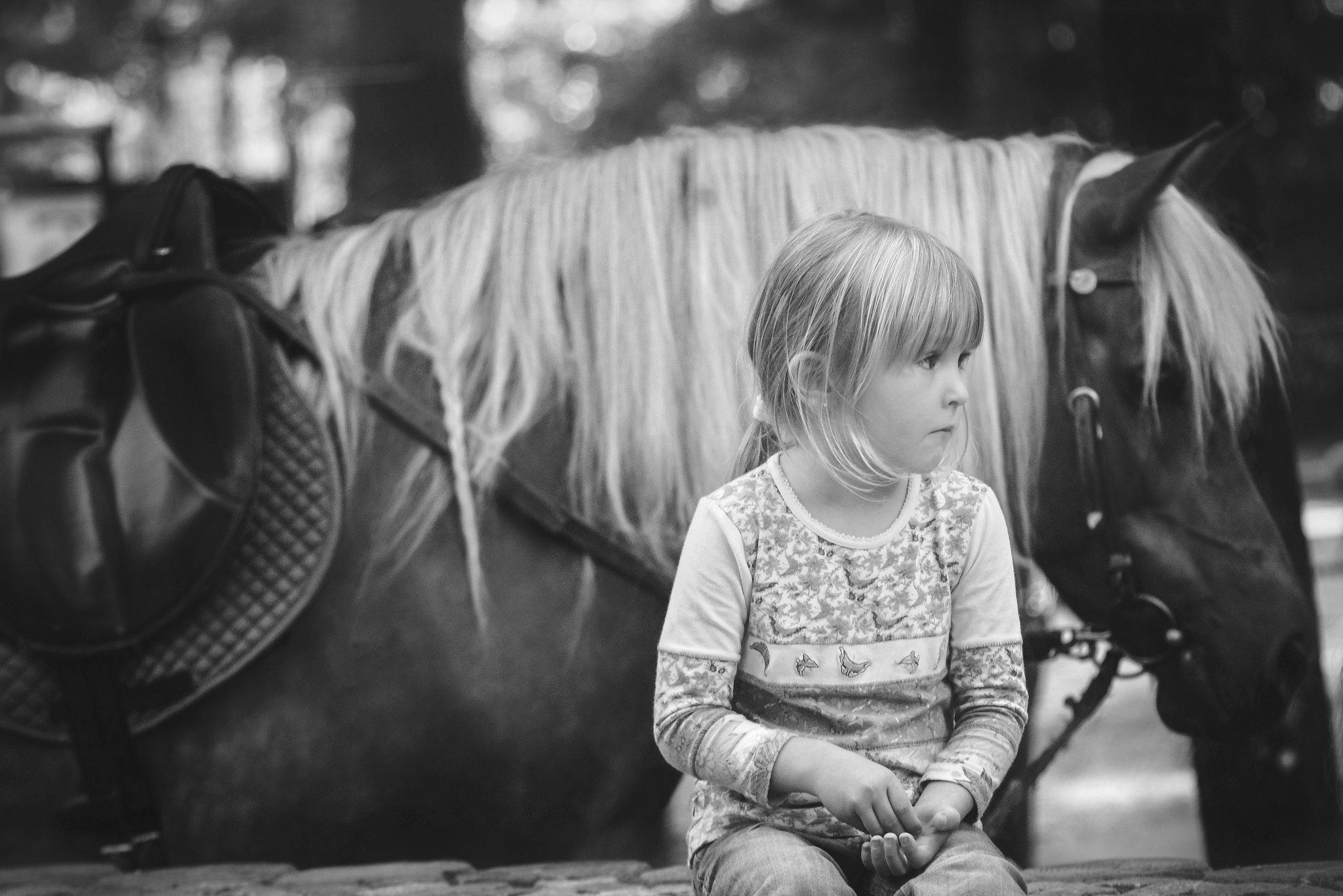 Horse And The Girl