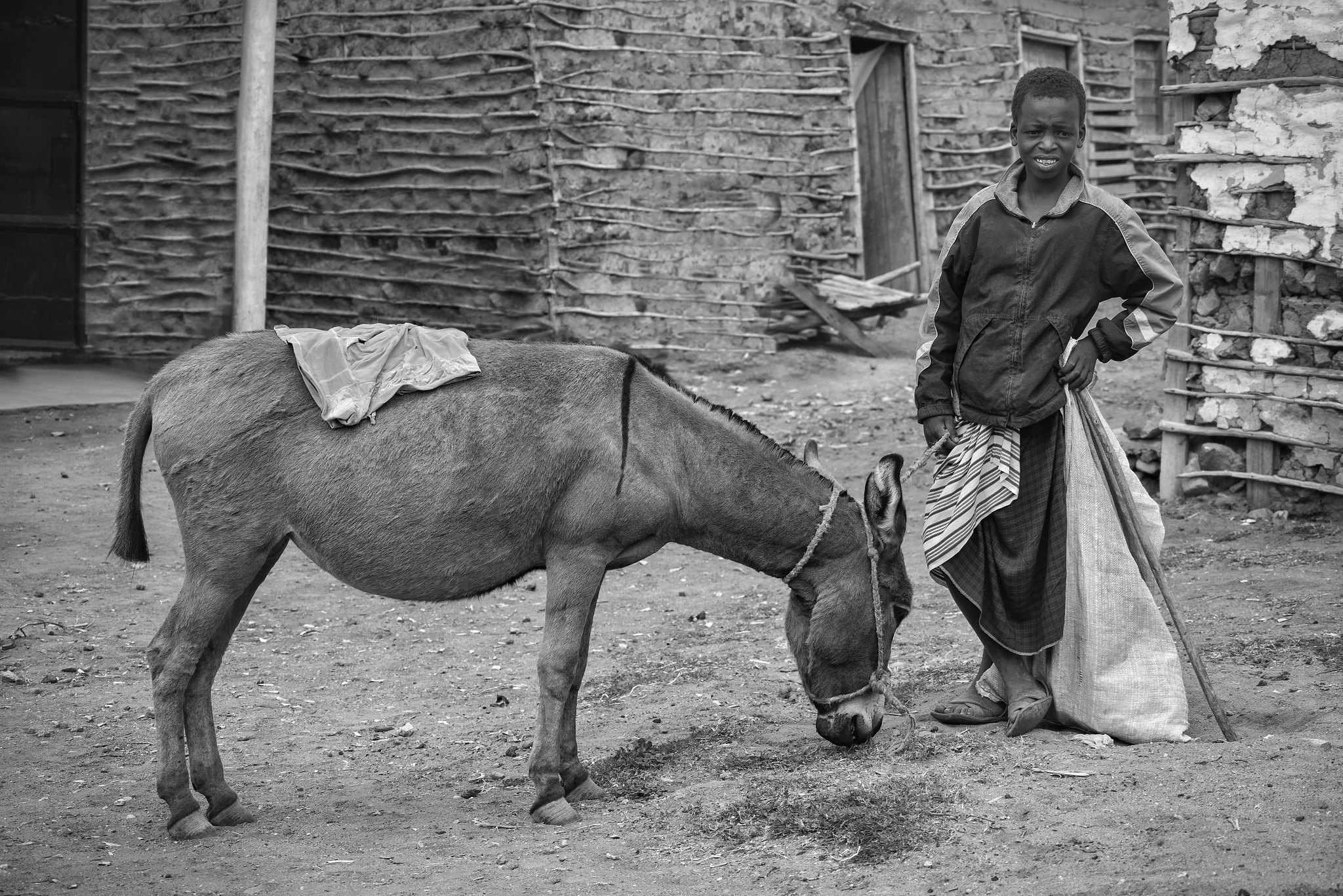 Maasai Kid and The Donkey