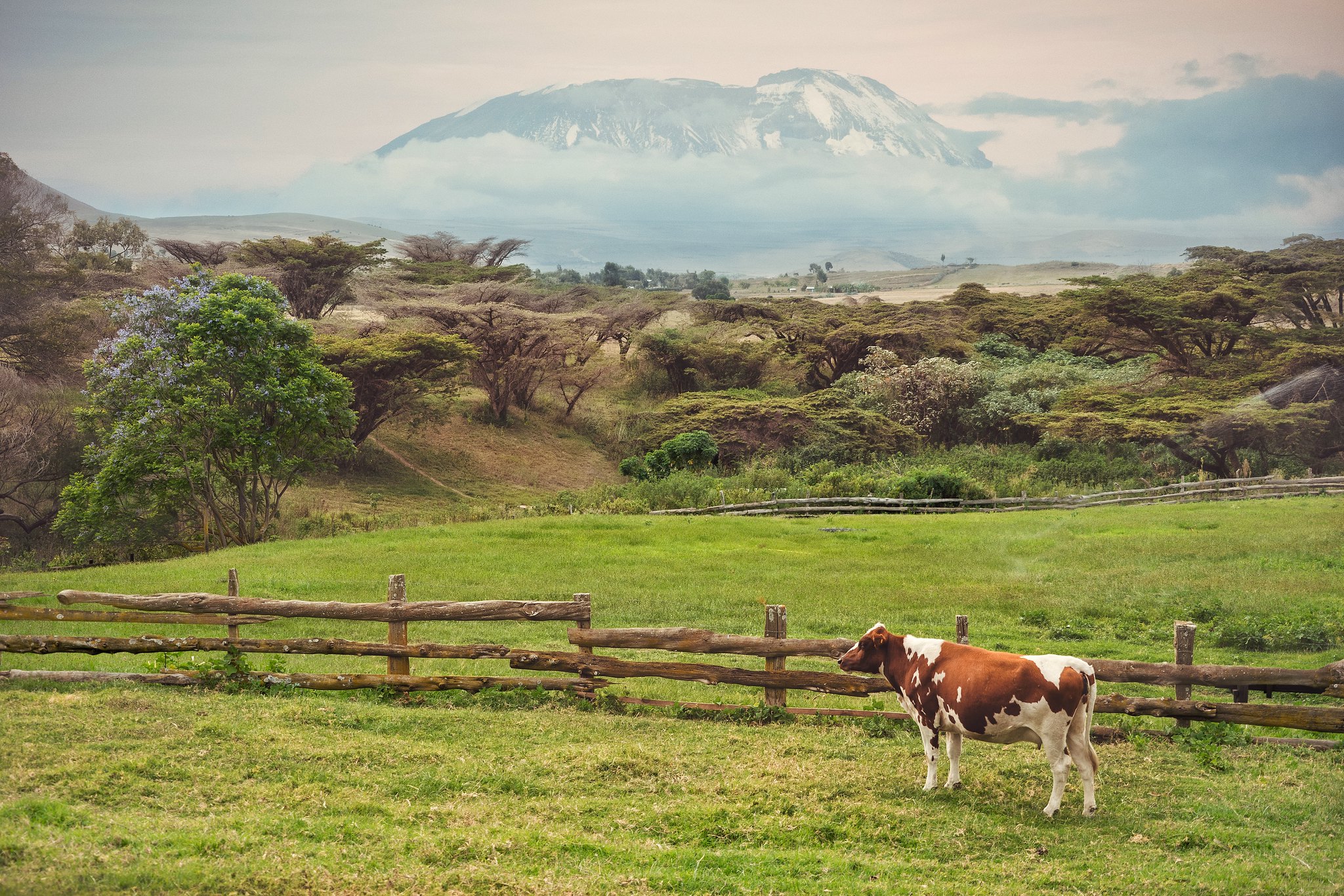 Mount Kilimanjaro