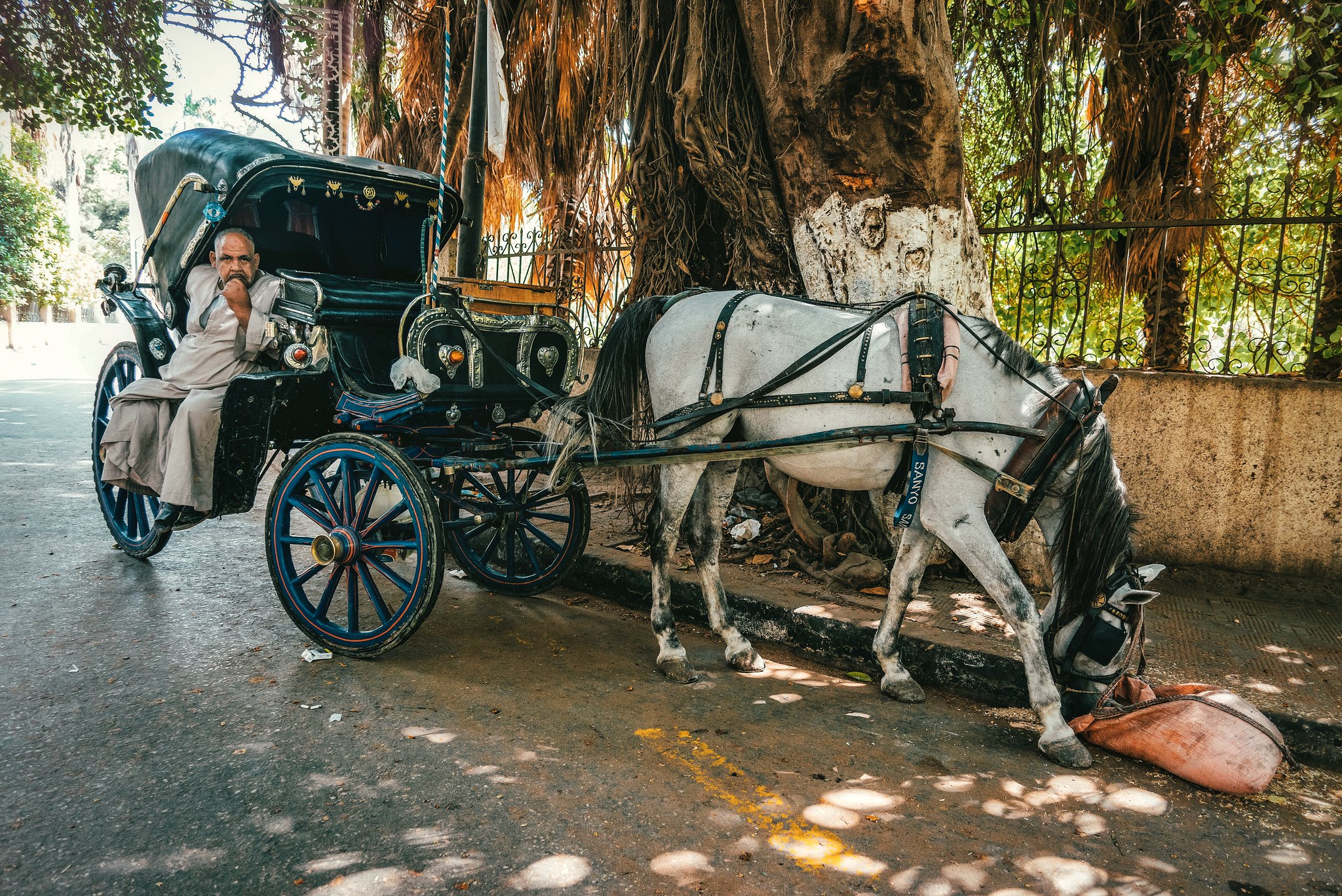 Phaeton, Cairo.