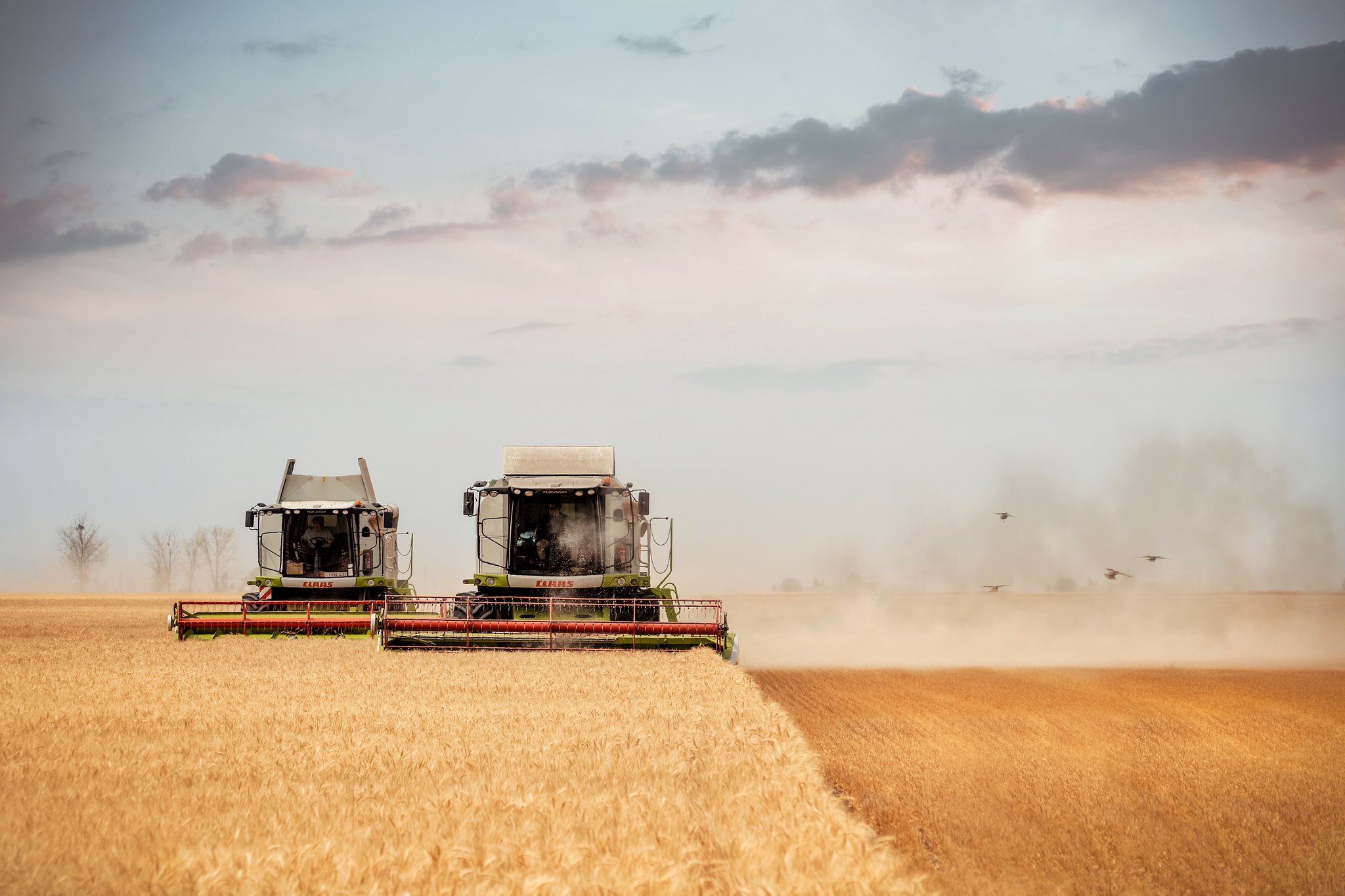 Harvest time in Hungary