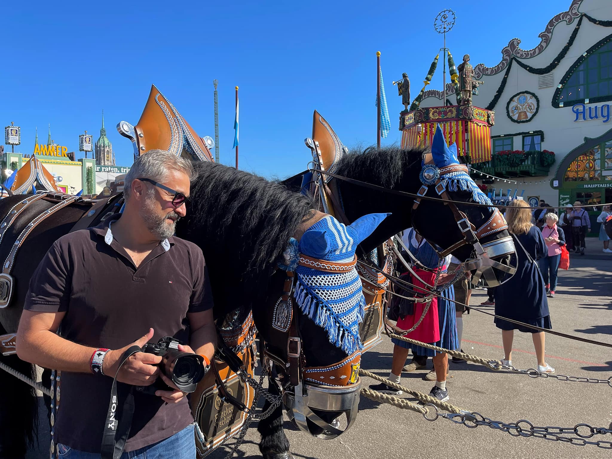 Horses of Oktoberfest